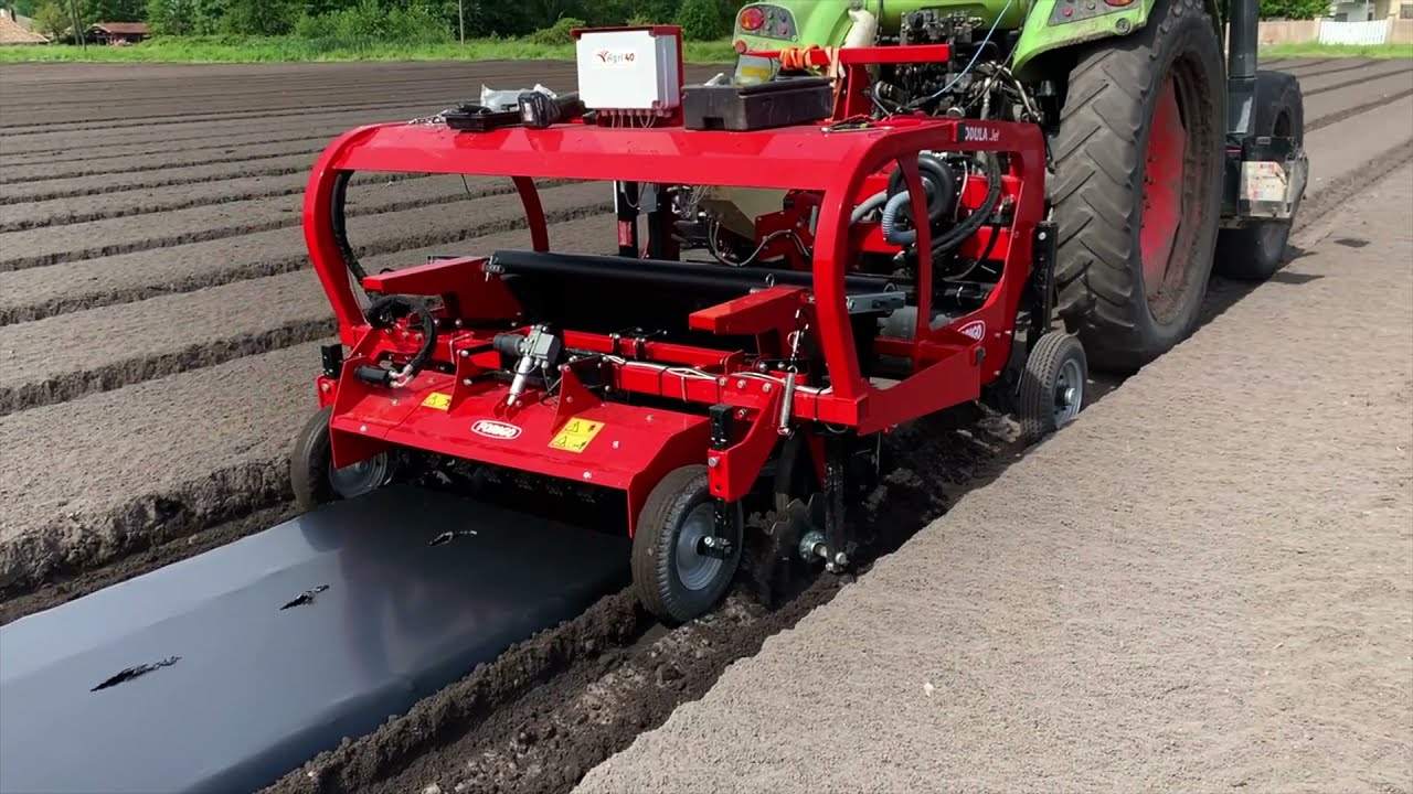 Pumpkin seeding with Modula JET | FORIGO Roteritalia