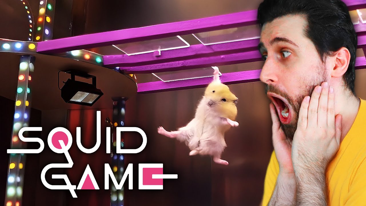 Hörcsögök HARCA a Squid Game-ben! 🐹 @Hamsterious