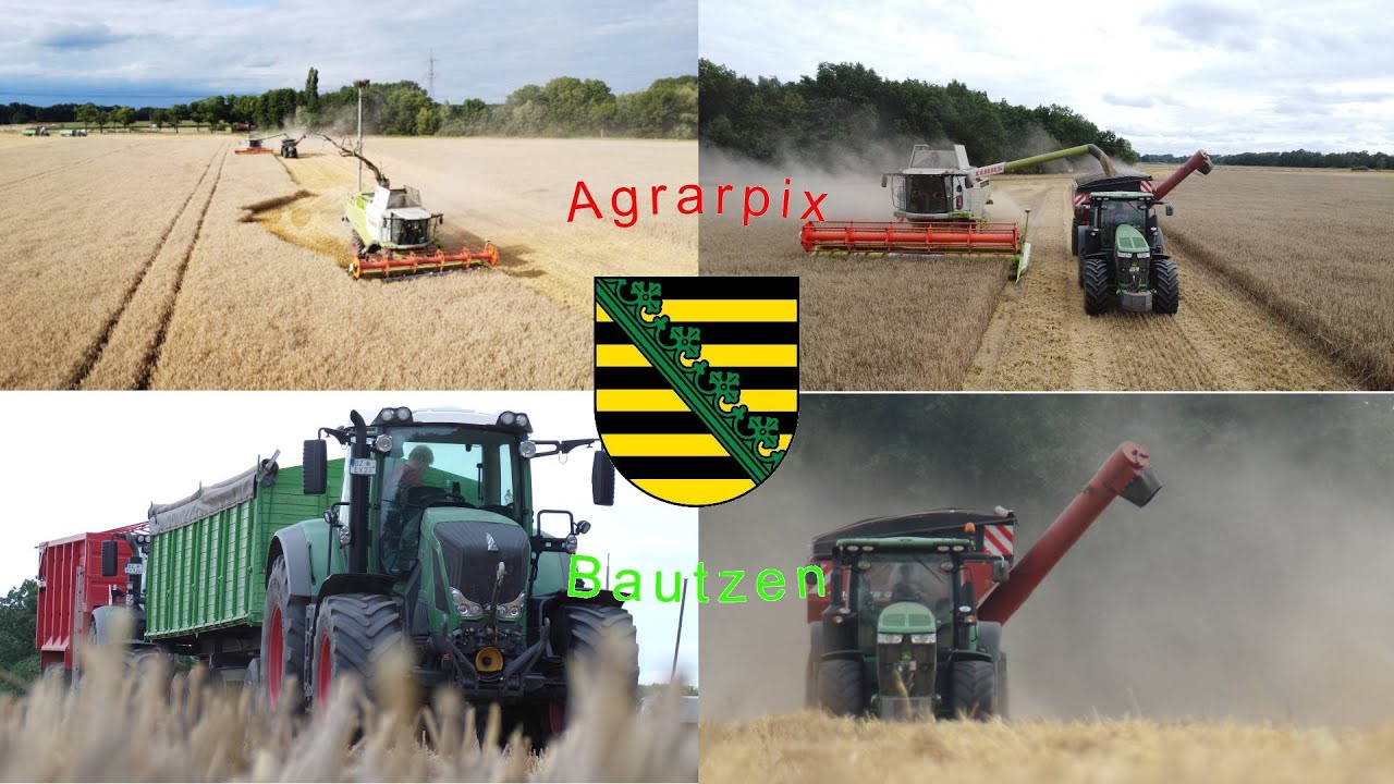 Roggenernte 2025 #1 || 2 Claas Lexion 750 TT Mähdrescher im Roggen und John Deere 7 R mit Horsch ÜLW