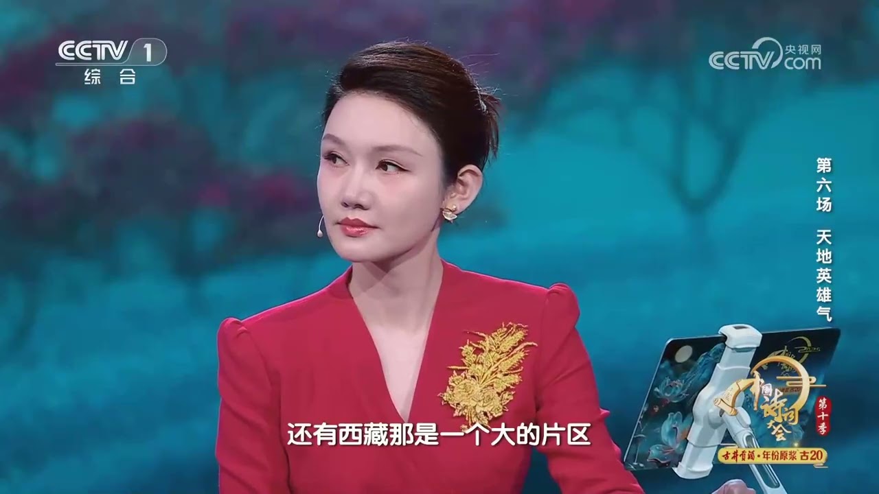 [2025中国诗词大会]大同云冈石窟是混搭风 | CCTV