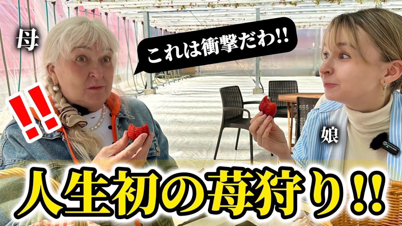 人生初のいちご狩りで「日本の苺」にお母さんが衝撃を受ける!!【外国人の反応】