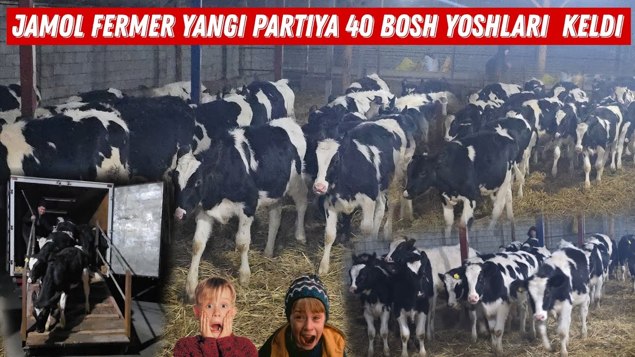 😱 Jamol Fermer Yangi Partiya 40 Bosh Uddar Hunojinlar Keldi 