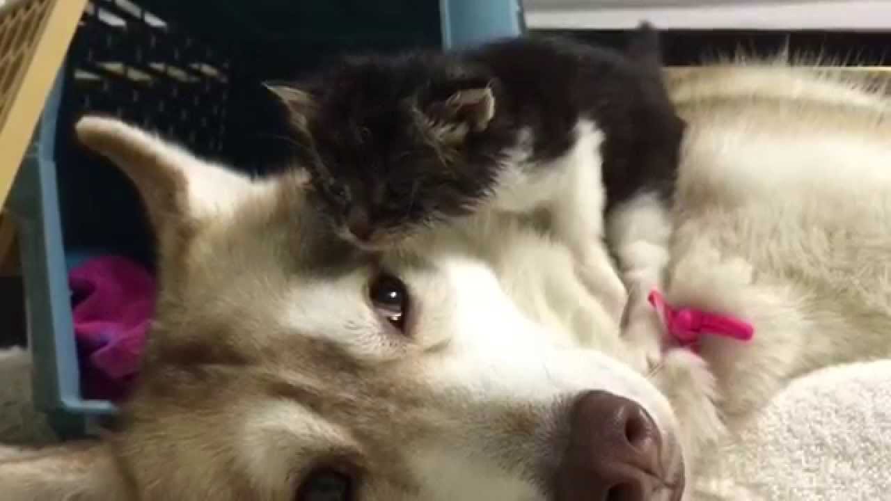 Lilo and Baby Rosie