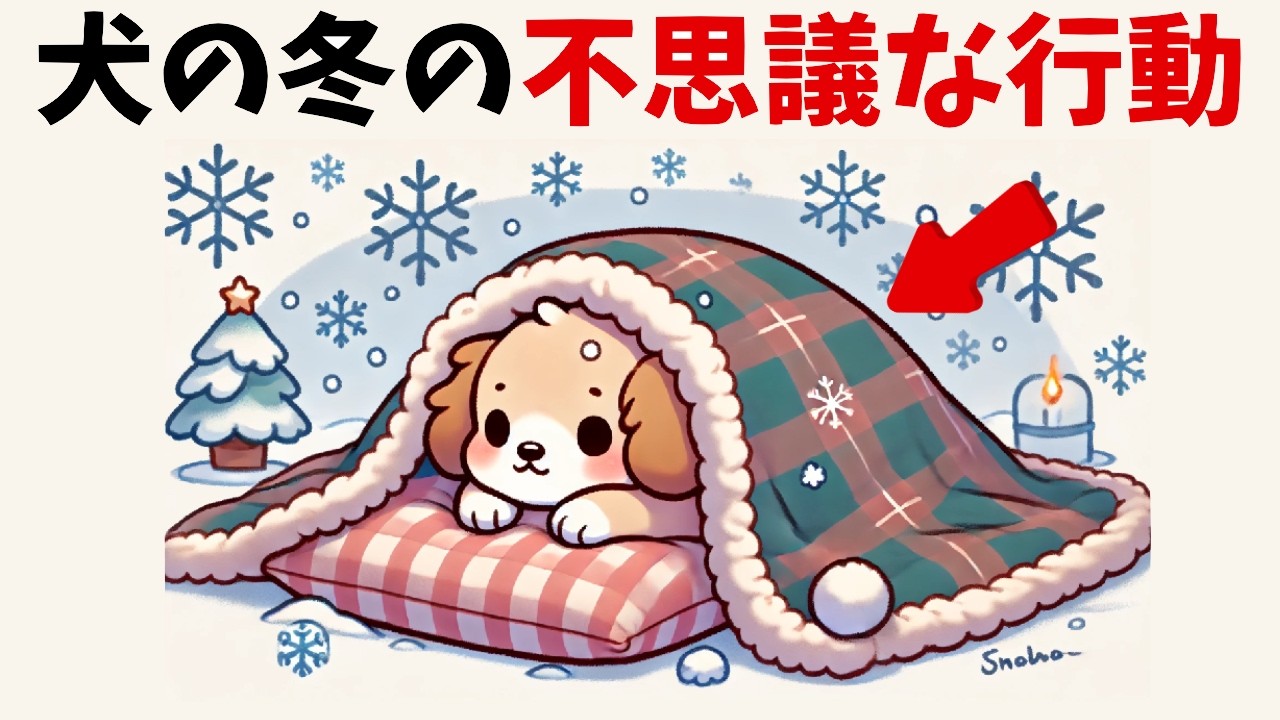 冬場の犬が見せる不思議な行動とその理由7選