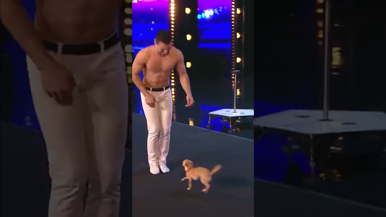 ADDESTRO il mio CANE! 🐶 Aspettative Vs Realtà 