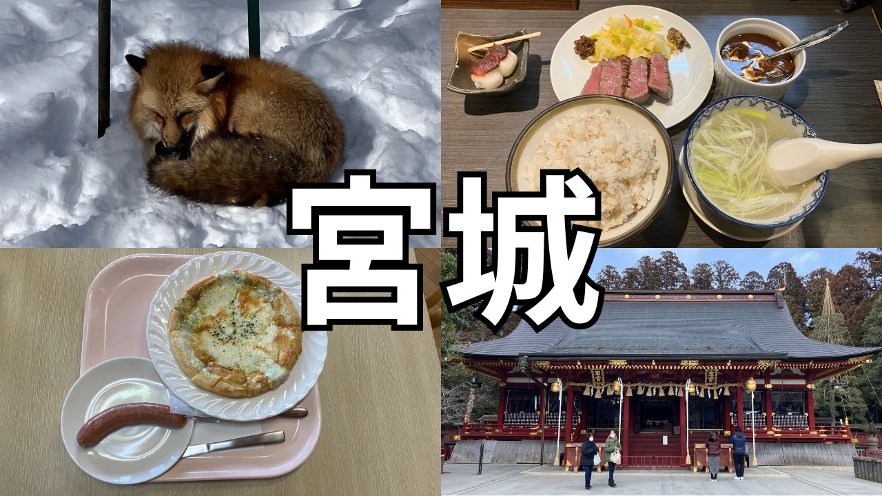 ＃４３　[キツネかわいいvlog]　３０歳独身ニート男性による日本一周旅　宮城編