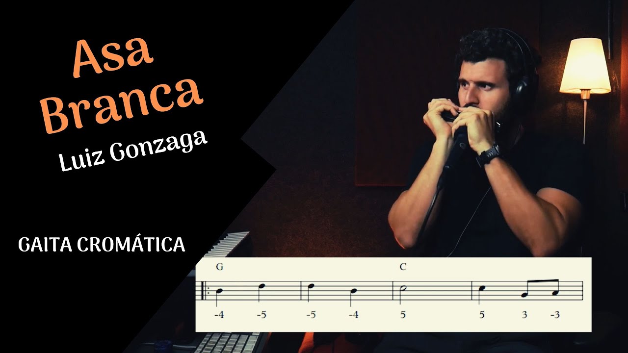 ASA BRANCA (Luiz Gonzaga) com TABLATURA na Gaita Cromática por Paulo Lessa