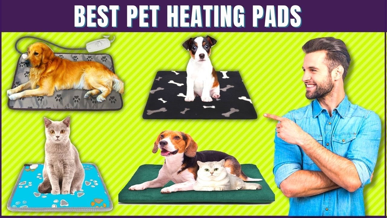 Best Pet Heating Pads🐶🐱Outdoor Pet Heating Pad🔹Check it Out!