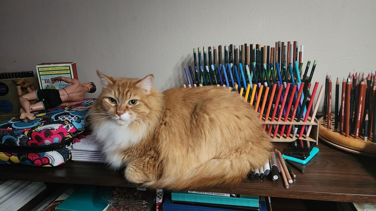 2025 Colored Pencil Collection
