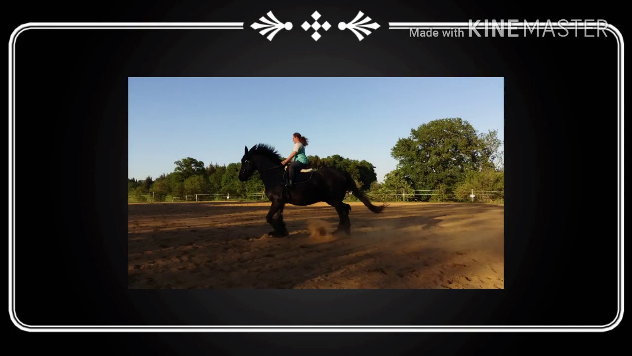 Ich auf einem groß Pferd ??