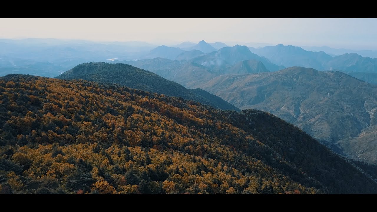 Autumn walk  Cinematic video | Algeria  |  GH5  | Dji Mavic Pro