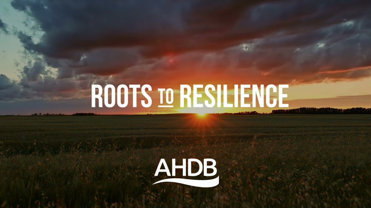Roots to Resilience - What&rsquo;s in it for Consultants?