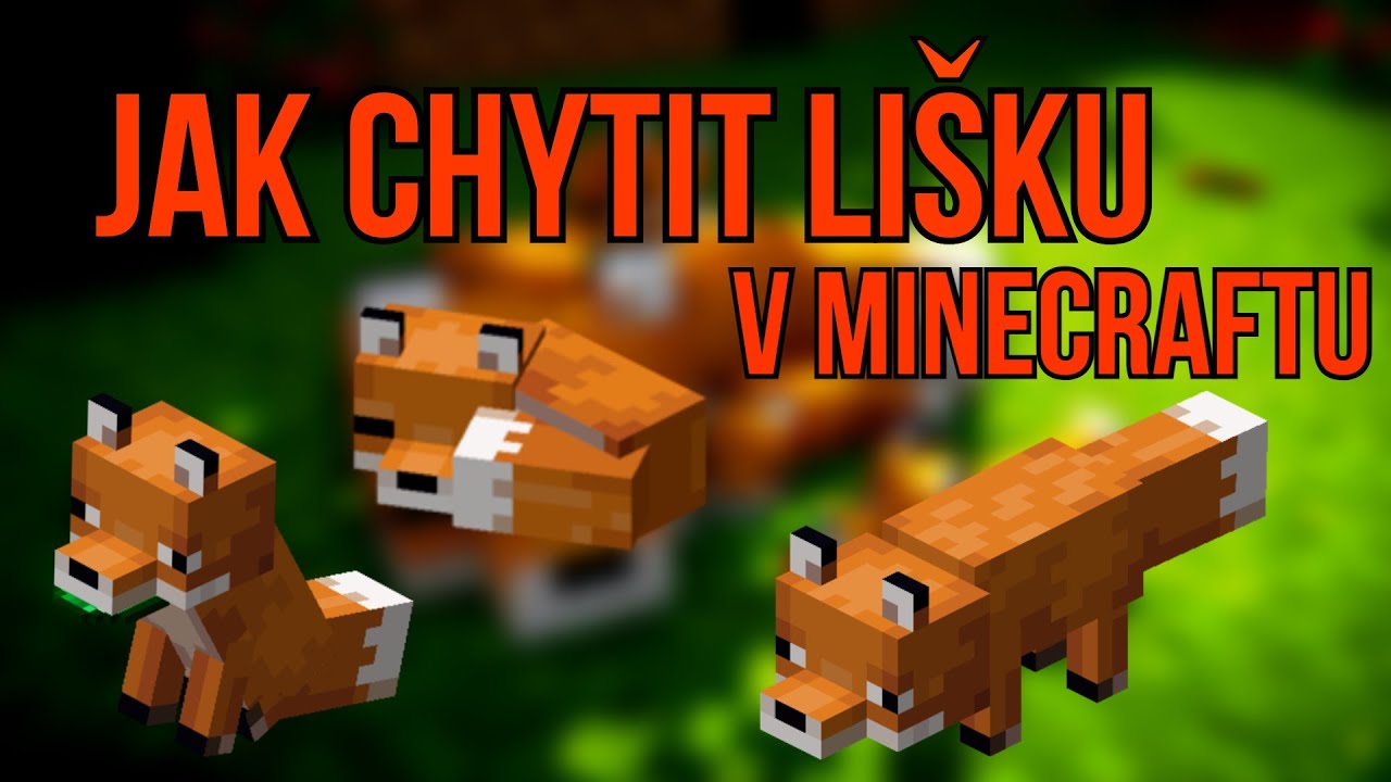 JAK CHYTIT LI&Scaron;KU 🦊 | Minecraft CZ/SK Tutorial