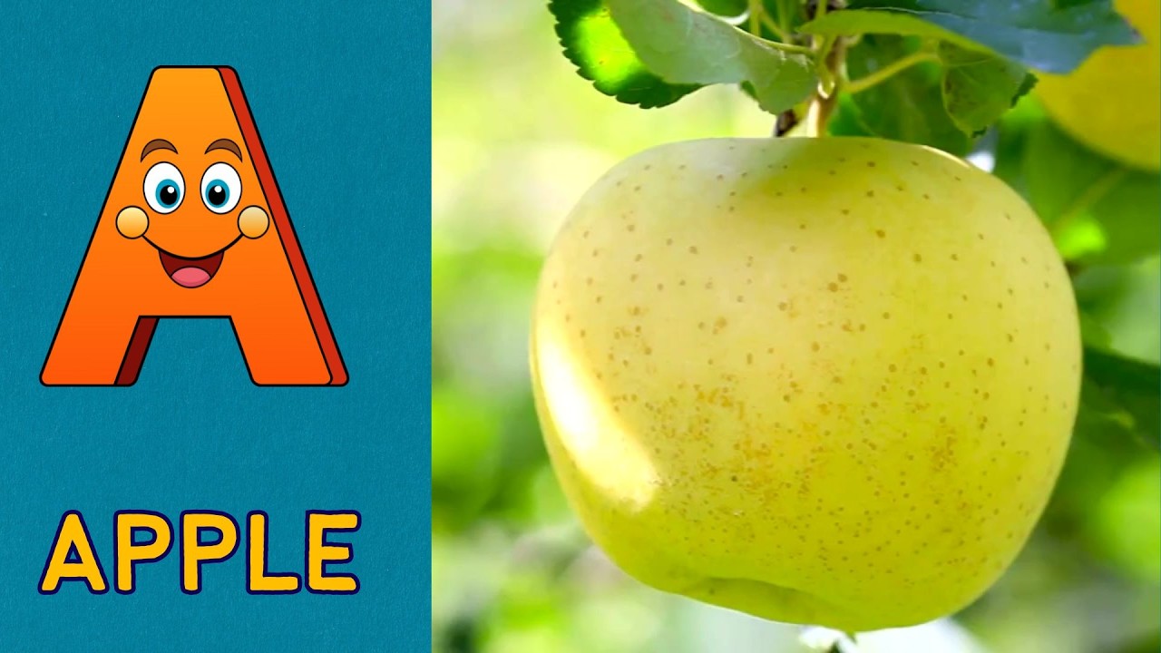 ABC Alphabet Phonics Song 🎵 | A is for Apple 🍎 | Kids Learning Video !! Nursery Rhymes Vidro