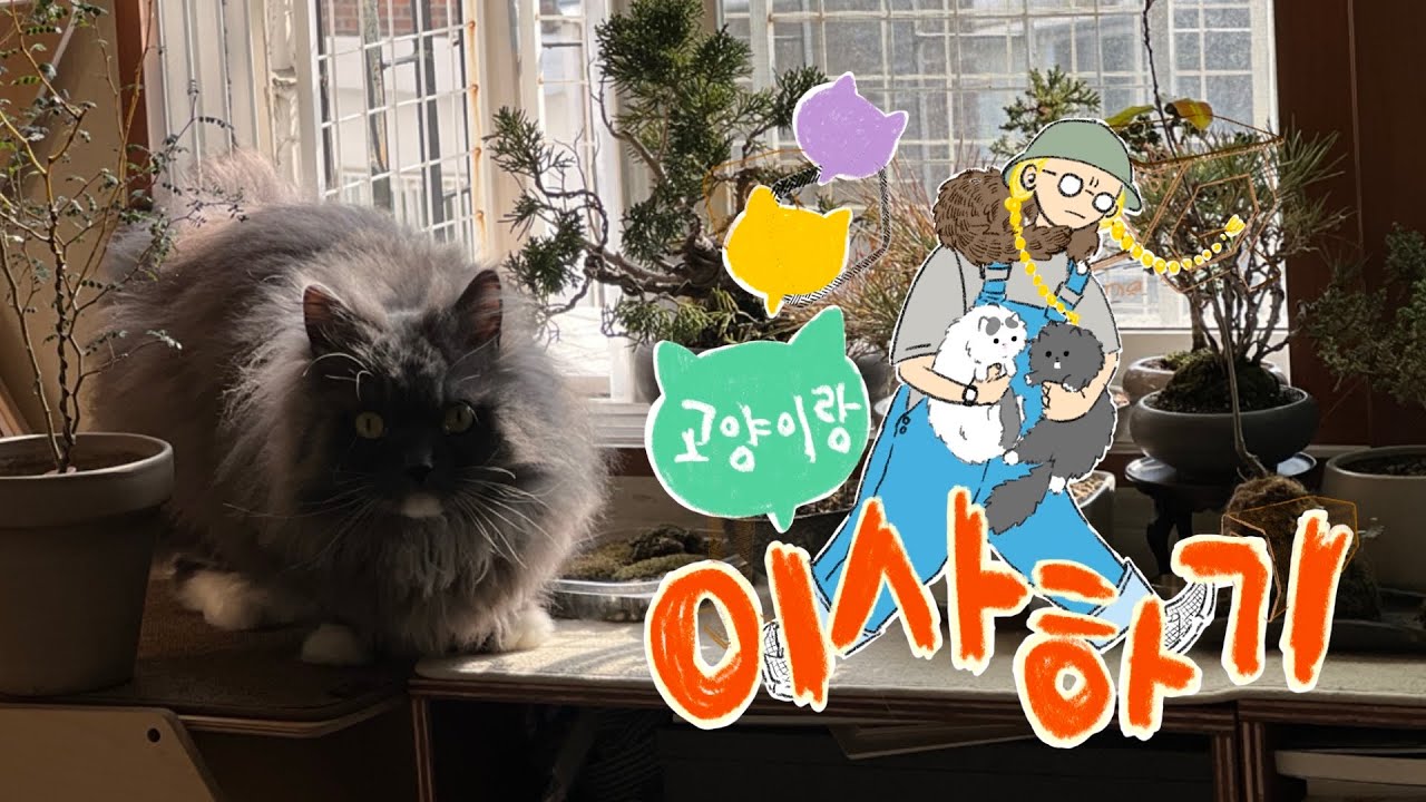 이사 Log 00 | 반려묘 3마리 보호자의 이사 이유와 결정