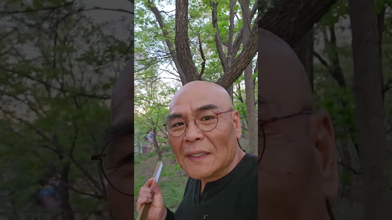 Что, если бы Лакан встретил Хайдеггера? / Онтологическое различие между &laquo;Реальным&raquo; (le r&eacute;el) и &laquo;Р...