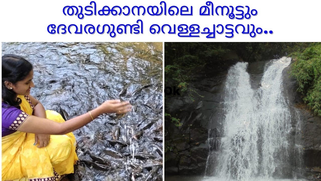 മീനൂട്ടും വെള്ളച്ചാട്ടവും പിന്നെ ക്ഷേത്രവും