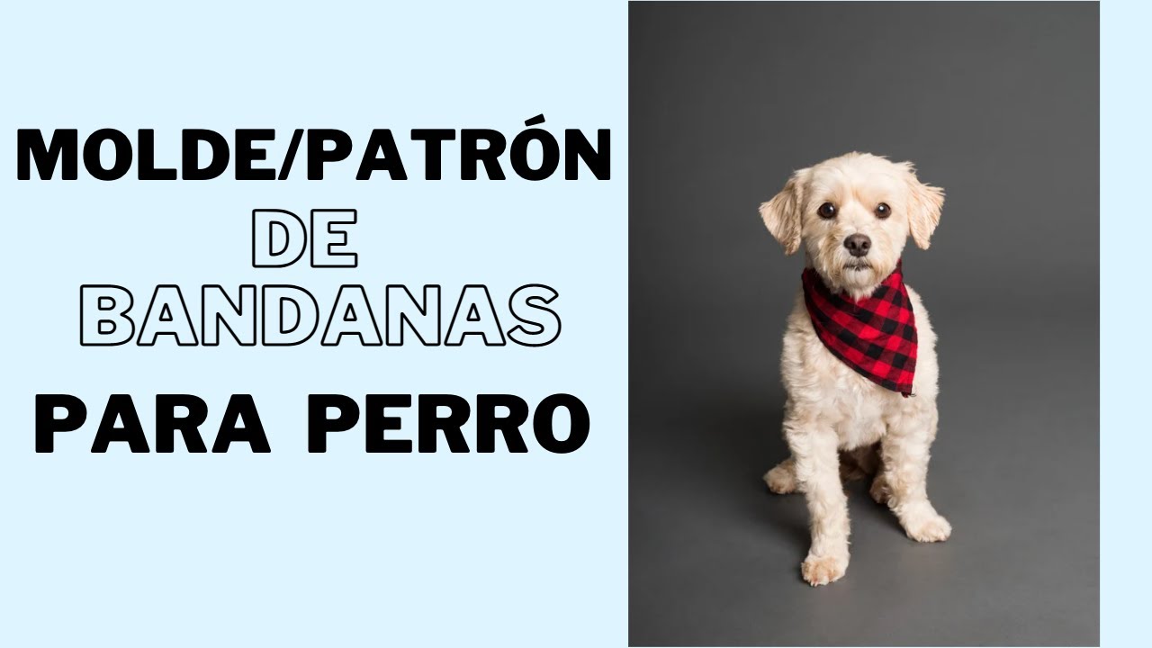 TE COMPARTO EL MOLDE/PATRÓN DE BANDANAS PARA PERRO.