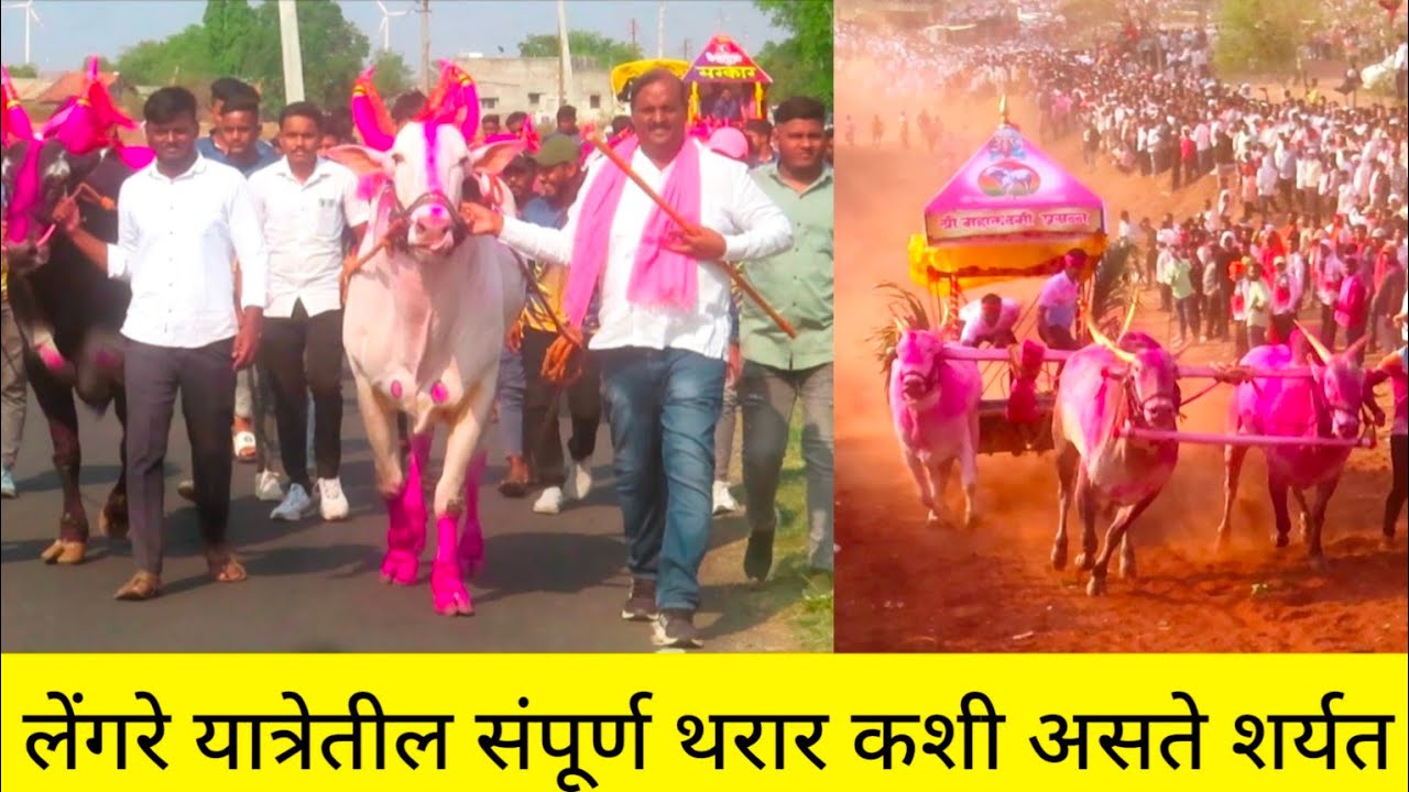 कोण कोण आलं होतं लेंगरे लेंगरे यात्रेच्या शर्यतीत एक मानाचा गाडा संपूर्ण थरार एकाच व्हिडिओमध्ये