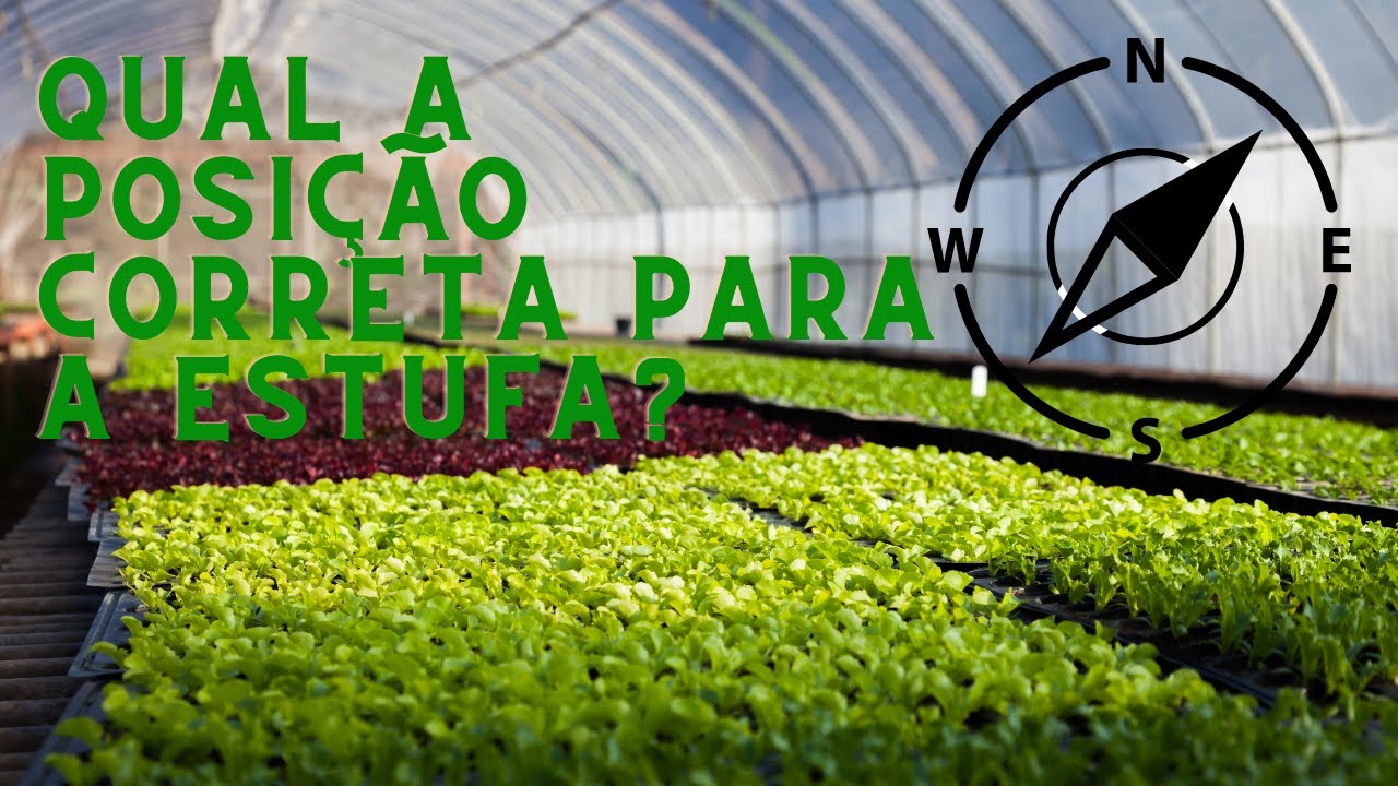 Qual a posição certa para estufa?