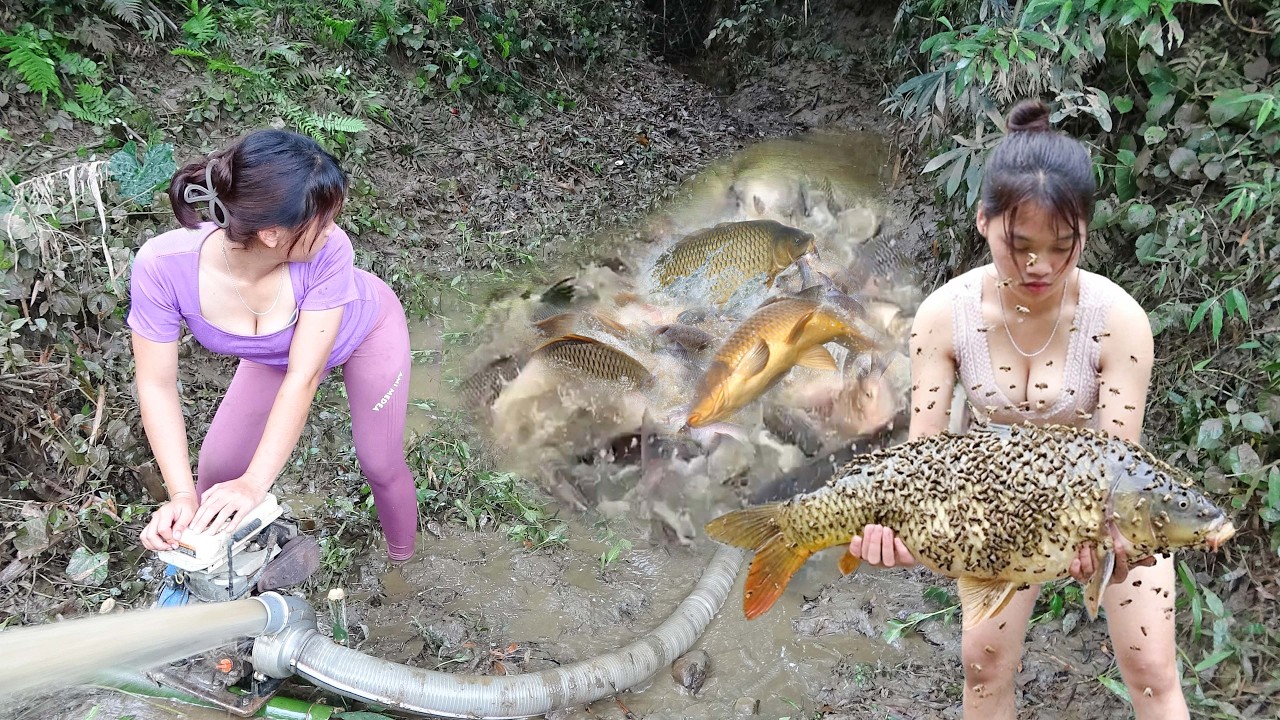 Amazing Fishing Techniques: Fishing Exciting, Catching 200kg of Fish Every Day with Fish Traps
