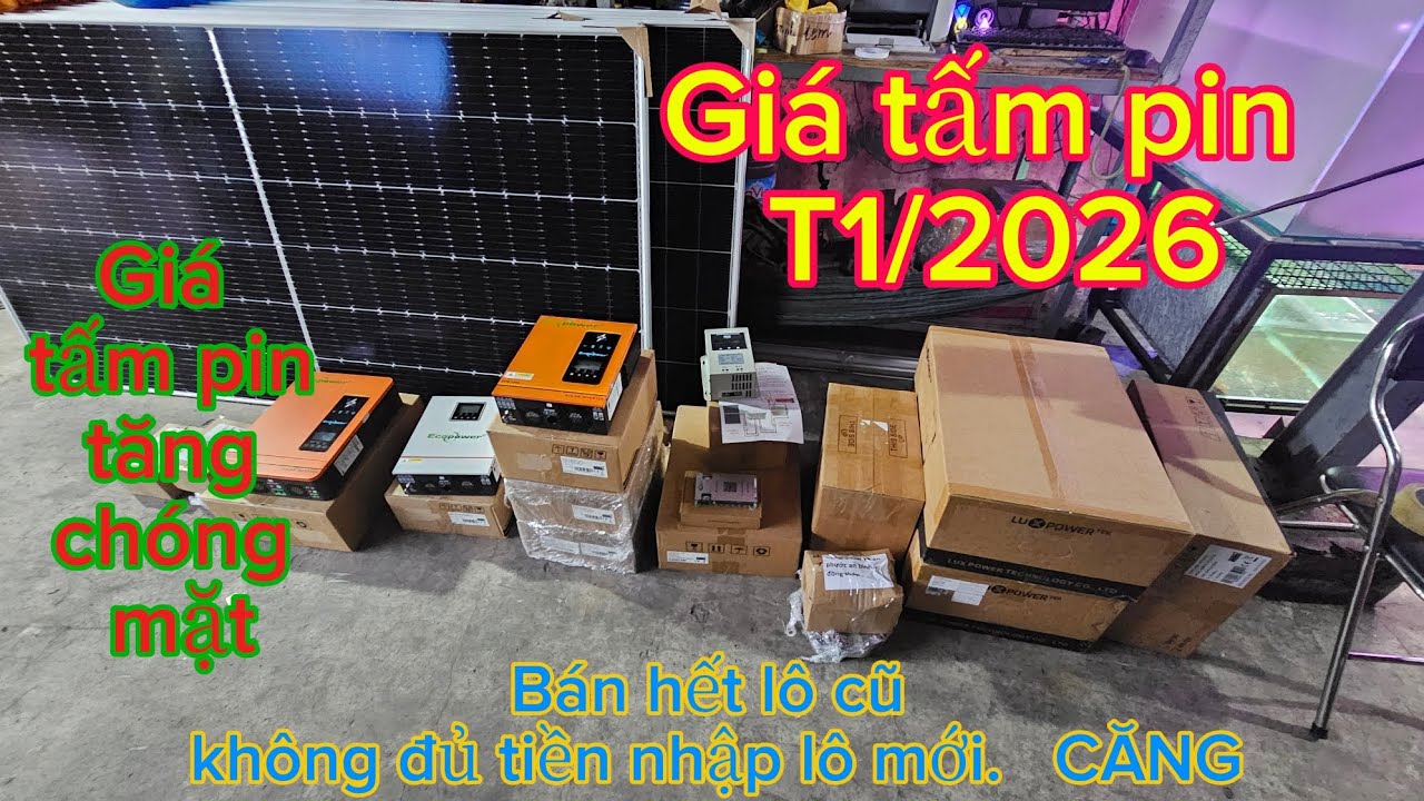 Báo giá tấm pin tháng 1/2026 và các combo trong ngày
