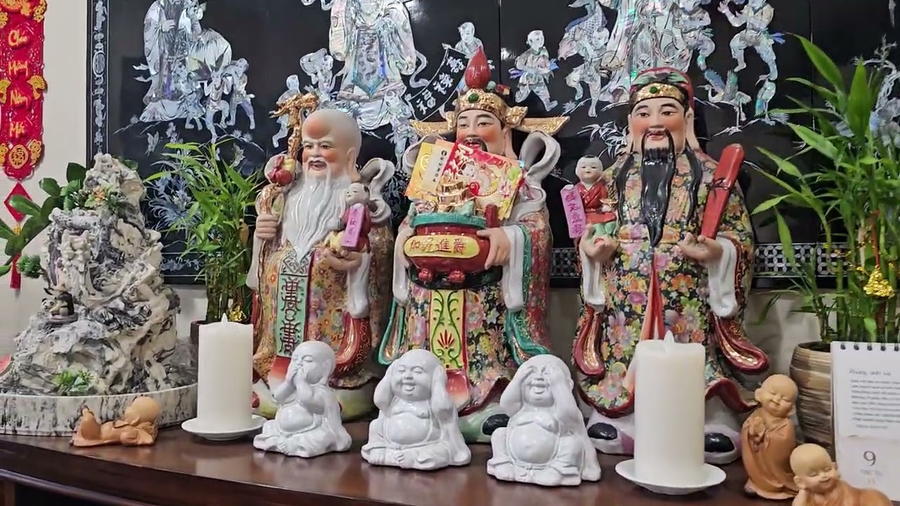 Hồ cá vàng trong nhà em , Thái Lan,  nhật bản và tàu🥰😍