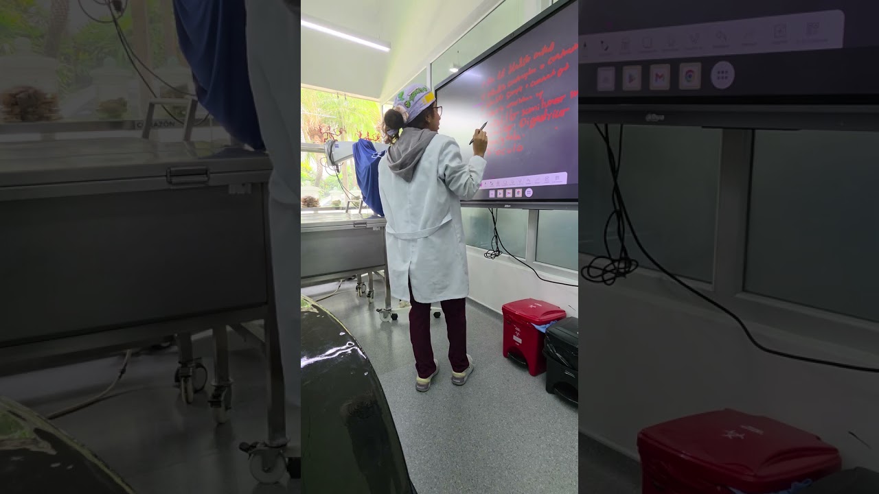 NEURO PRÁCTICA CEREBELO 