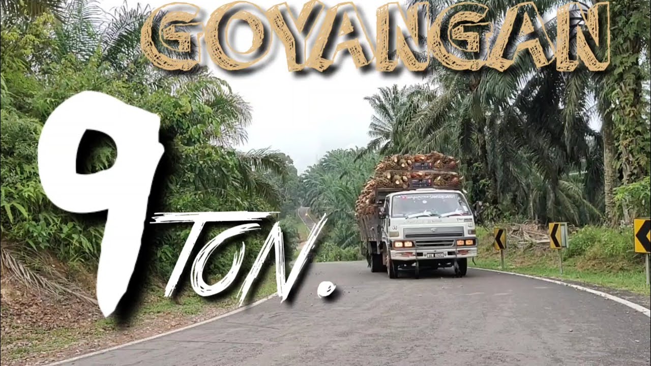 DAIHATSU🇲🇾 MUAT SAWIT TERHANDAL.