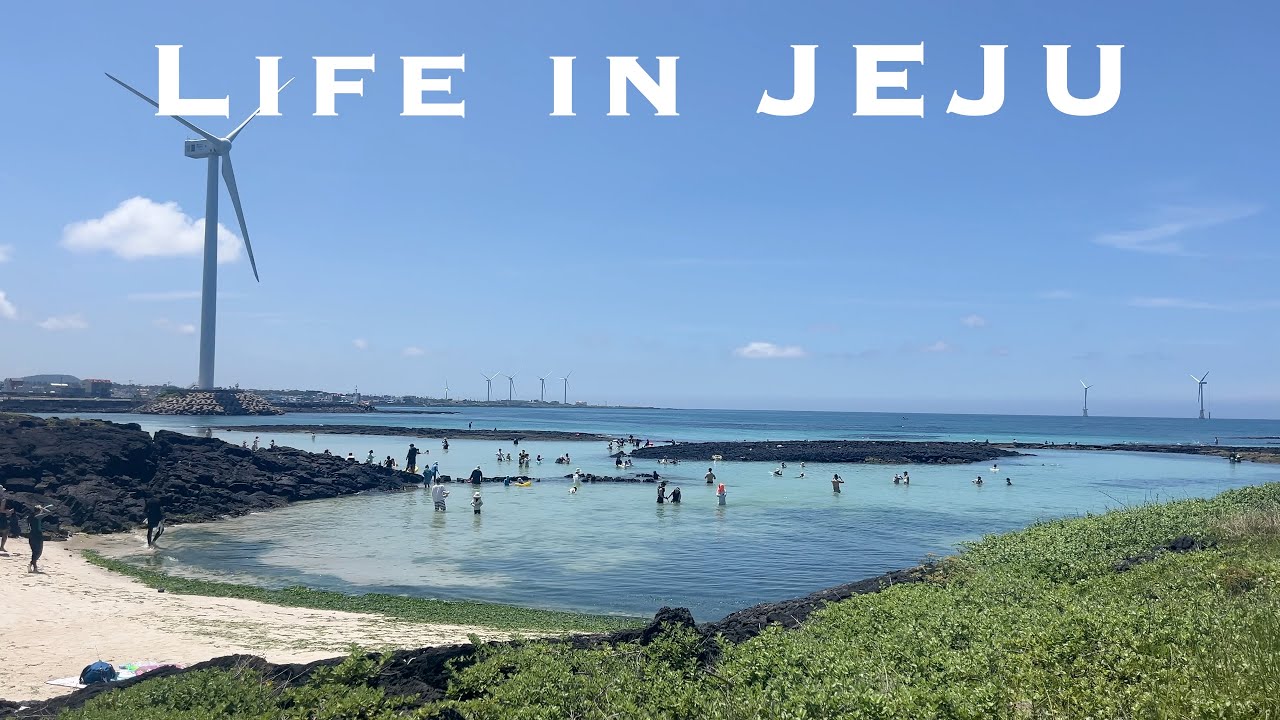 🇰🇷 7월 Jeju VLOG | 제주돔베고기집 | 곶자왈 반딧불이 축제 | 무거버거 | 수선화 식당 | 비선루 | 타쿠마 | 백마가든 | 남경어곰탕 | 신라스테이 | 라우나