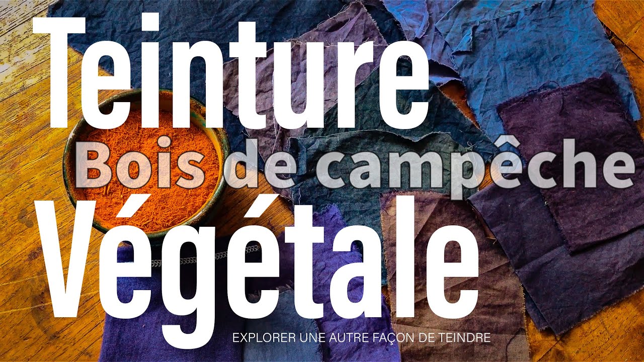 Le bois de campêche atout en teinture végétale [re-upload]
