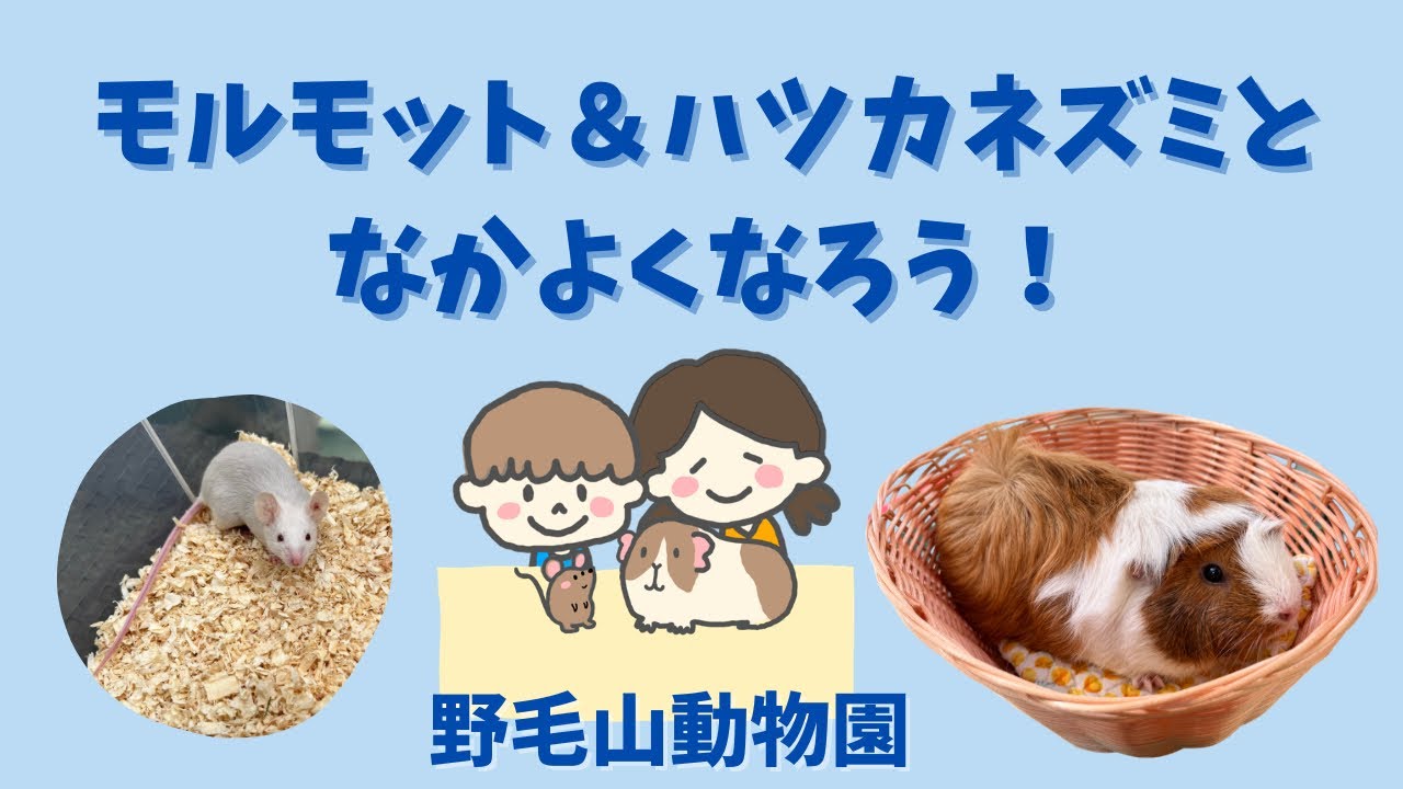 なかよし広場　小動物ふれあいプログラム　〜4つのお約束〜