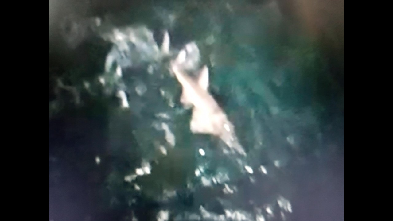 4 Metre White Spot G F