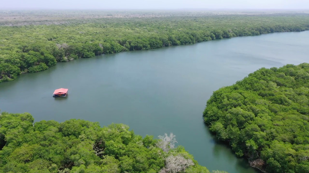 CIENAGA DE LA CAIMANERA EN COVEÑAS SUCRE