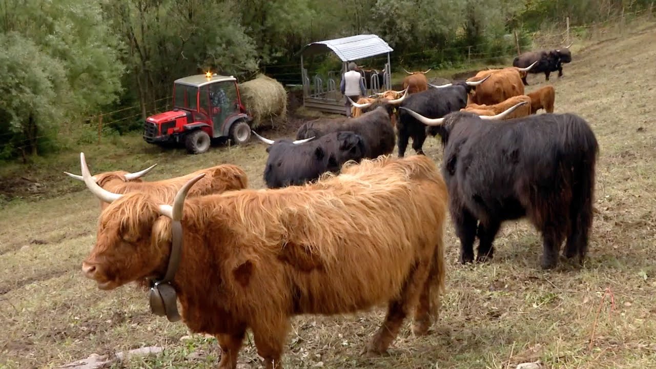 VAL DI FIEMME, PREDAZZO: I NUOVI VOLTI DELLE DOLOMITI
