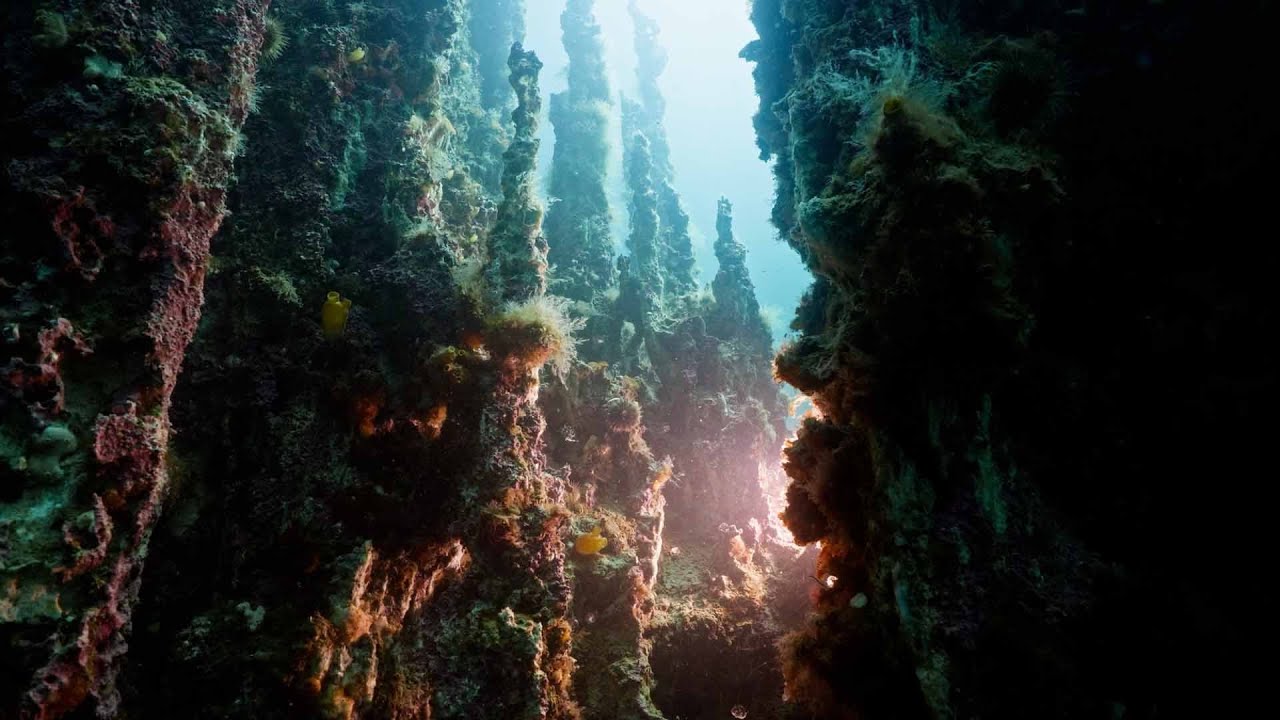 Unique mineral columns in Ikkafjord are thriving again
