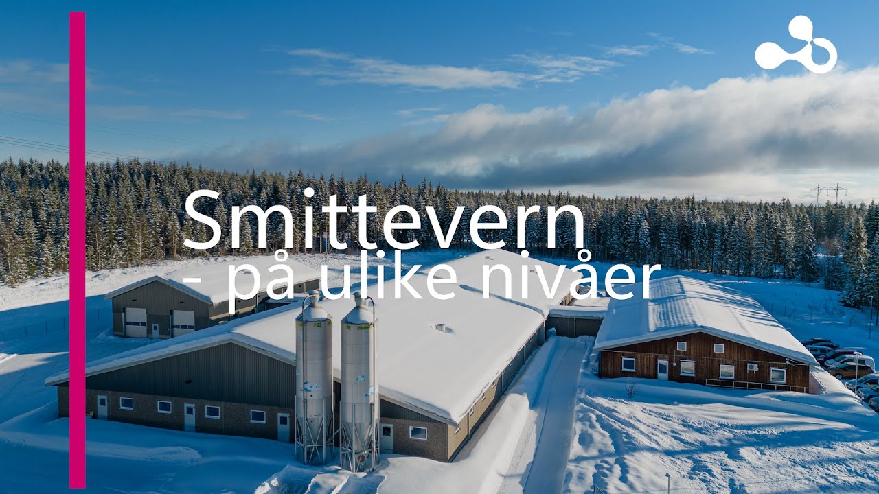 1.3 Smittevern