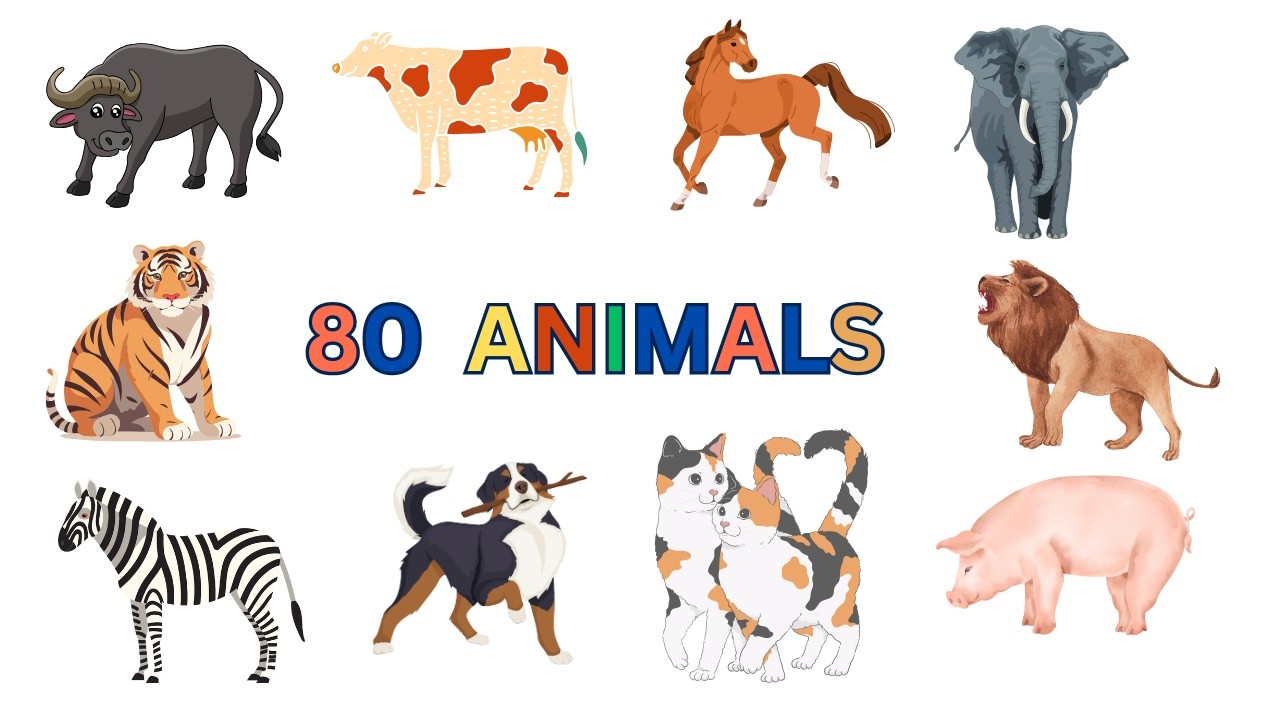 80 Animals Name in English