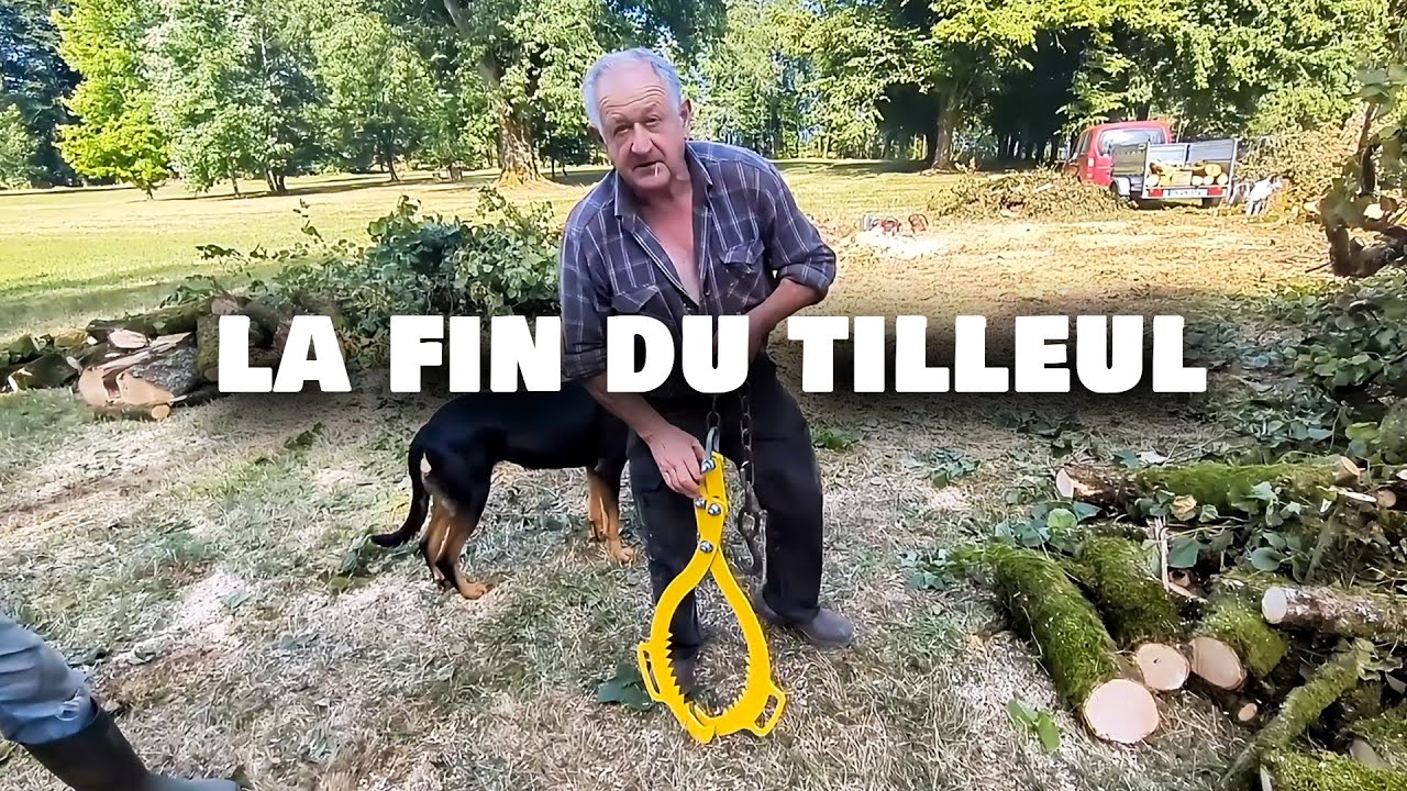 Le Tilleul n'est plus