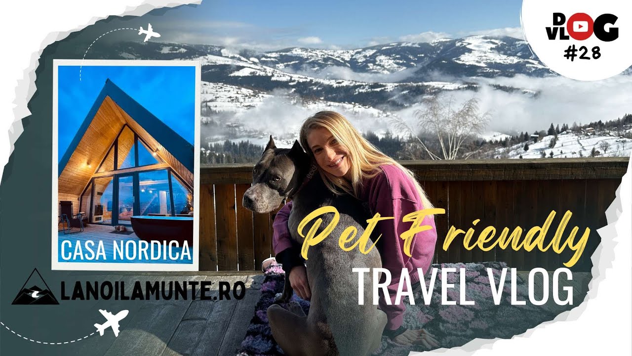DogVlog #28 - Casa Nordica(PET FRIENDLY), La Noi La Munte