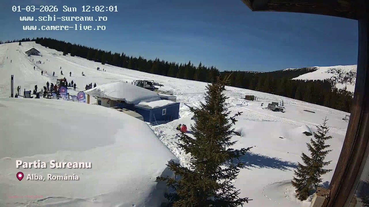 LIVE 🔴 WebcamRomania.ro | 2026-03-01 Partea 8