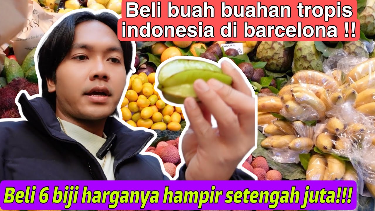 BELANJA SALAK BELIMBING DAN MANGGIS!! CUMAN DUA BIJI AJA HABIS HAMPIR SETENGAH JUTA!!