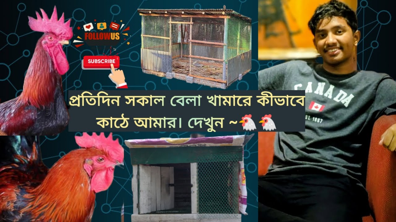 কঠোর পরিশ্রম সফলতার চাবিকাঠি। খামার থেকেই আমার নতুন পথ, নতুন অধ্যায় ~Farmlife #khamar_info 2026 