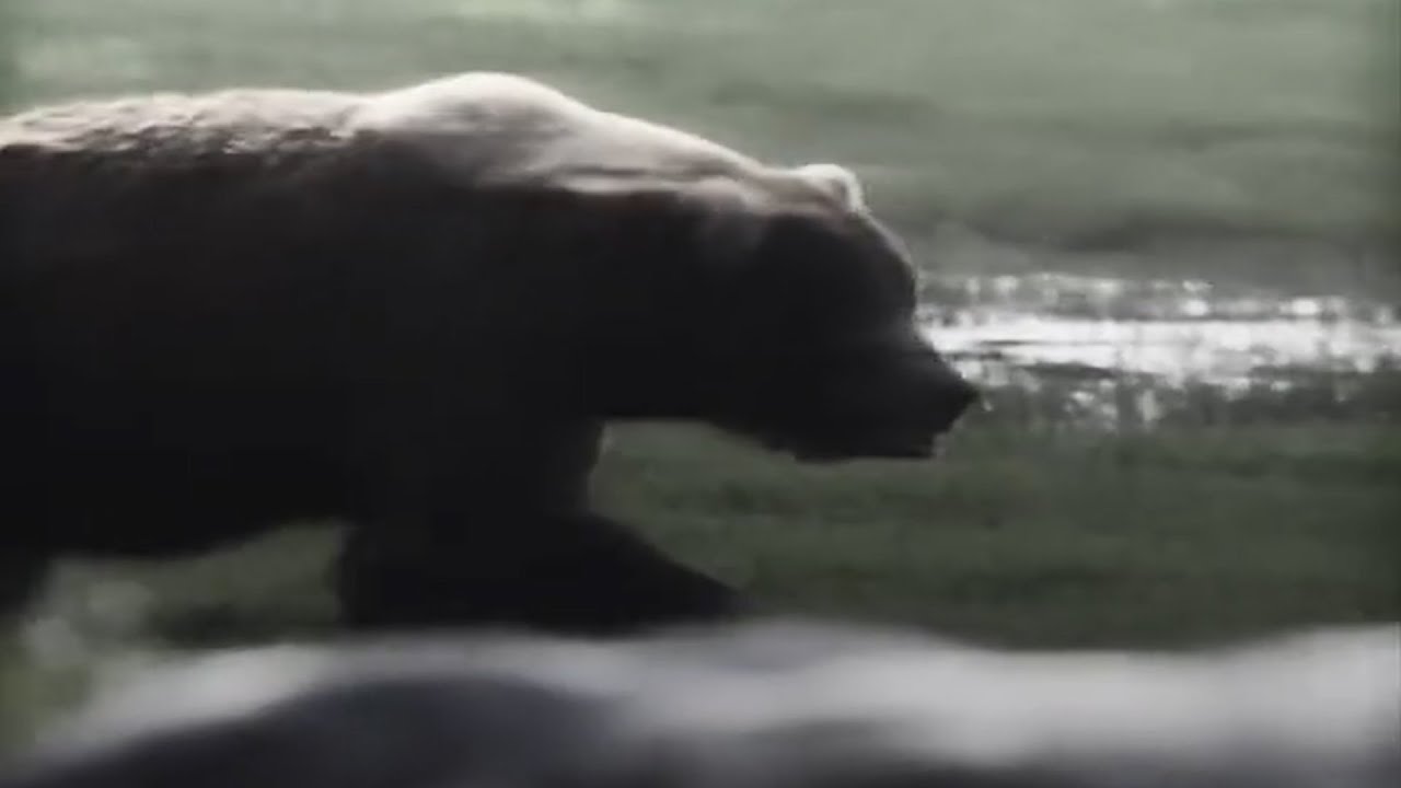 AMERICANO HARDTEKK (Ultra Slowed + Reverb) | The Dark Triad Song | HardTekk