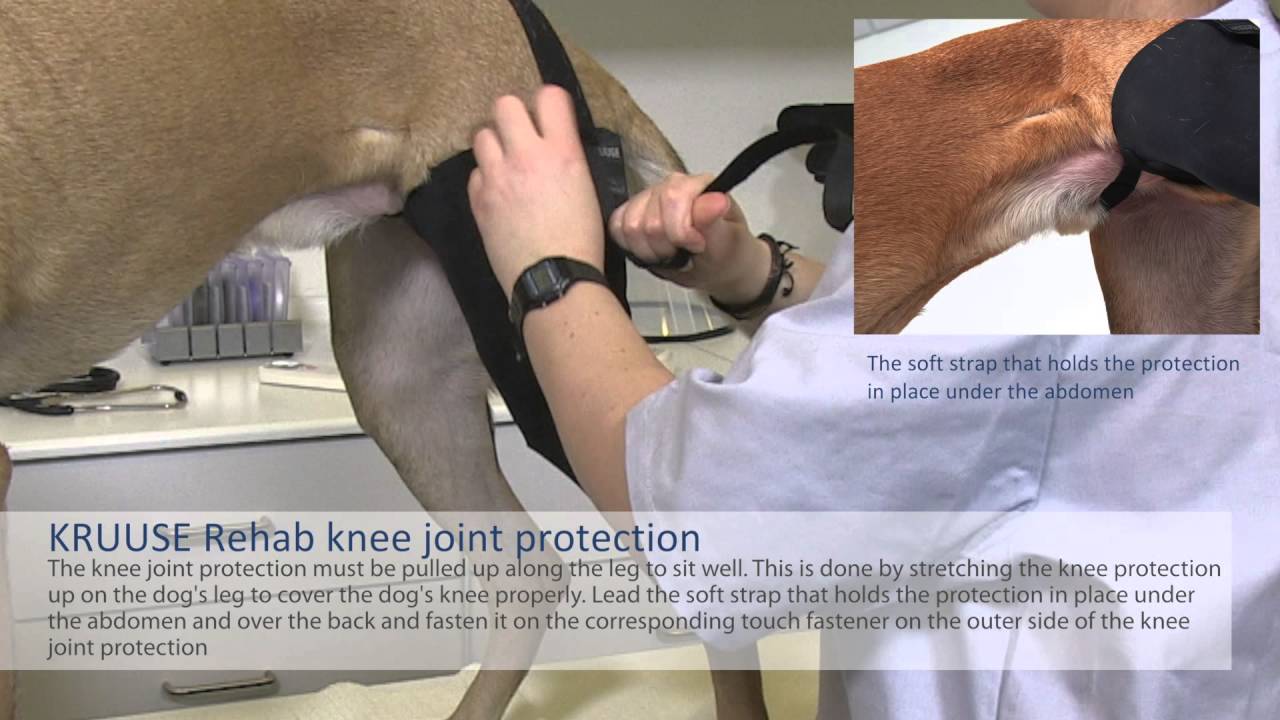 KRUUSE Rehab knee joint protection