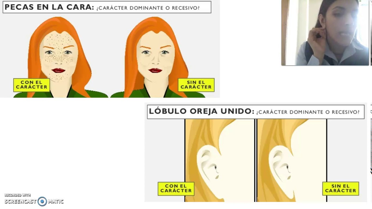 CARACTERISTICAS DOMINANTES