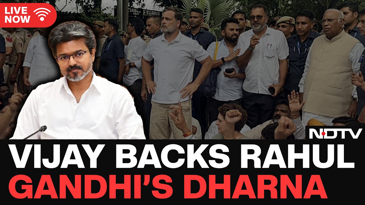 Rahul Gandhi News LIVE | Vijay News | Vijay Backs Rahul Gandhi's Protest, Calls Detention 'Illegal'