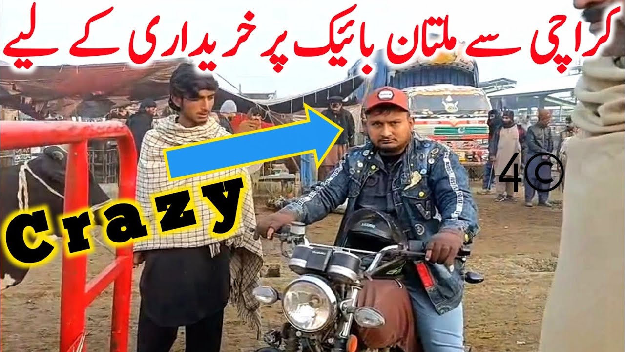 Today Multan Cow Mandi 2026 | Cholistani Sahiwal & Brahman Cows | Global Village Farming