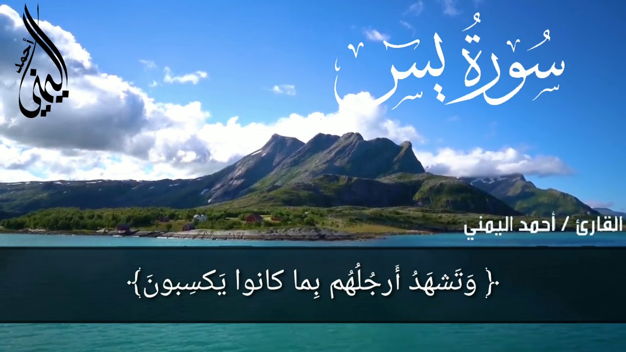 إِنَّ أَصْحَابَ الْجَنَّةِ الْيَوْمَ فِي شُغُلٍ فَاكِهُونَ (سورة يس) | بصوت أحمد الجندي