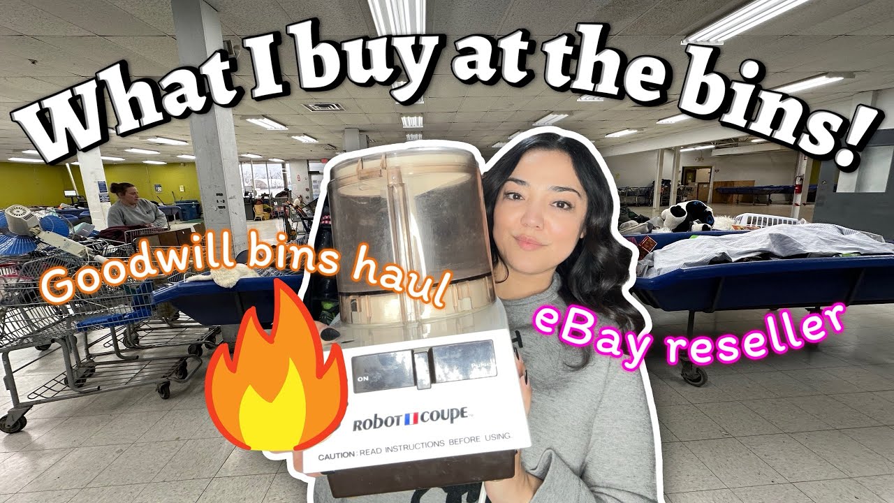 Turning $40 into hundreds at the Goodwill bins!